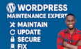 provide wordpress website maintenance and support