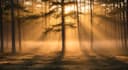make unique ai generated landscapes and scenery art