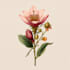 draw realistic scientific botanical illustration