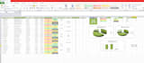 excel dashboard and data visualization expert