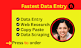 provide data entry, web research, copy paste work