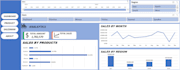 cleaning, formatting, making dashboard, visualization