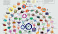 design a data visualization based on your data set