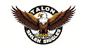 create eagle mascot logo design for your business