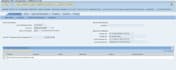 do data entry and etc that involve programming