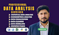 perform statistical and econometrics data analysis with spss, rstudio, or python