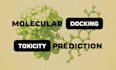 perform molecular docking and computational analysis