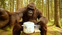 create ai vlogs featuring bigfoot, yeti, or any character