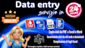fast and accurate data entry within 24 hours