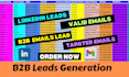 do b2b leads generation, linkedin leads and targeted emails collection