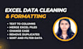 clean, format, merge, split excel data for you