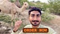 wish funny happy birthday video