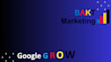 provide expert monthly local SEO and growth for your google business profile