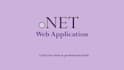 develop professional web applications in dotnet, asp dot net