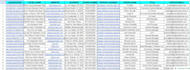 do google map leads, bulk skip tracing and web research