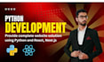 develop custom python backend with flask, django, and react