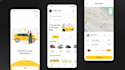 develop a professional taxi booking app, rider booking, uber app development