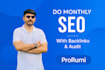 do monthly SEO with backlinks and audit