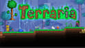 play terraria with you