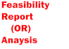 prepare feasibility report or analysis