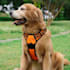 create dog harness, dog mat design and techpack
