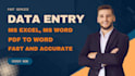 data entry, copy paste, pdf to excel