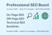 professional SEO boost service