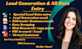 do perfect all data entry, data scraping, lead generation, copy paste services