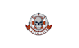 create attract unique web shop logo with skull