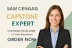 do your sam cengage, capstone, simnet projects in ms access, word, ppt