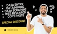 be your virtual assistant for data entry, typing, copy paste and web research