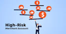 do secure high risk 2d 3d shopify payment iptv payment gateway card payment