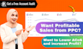 do amazon PPC audit, setup, manage and optimize amazon PPC ads campaigns
