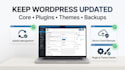 maintain your wordpress or woocommerce website