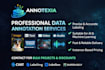 do data annotation image classification sports events tags