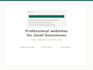 build a professional multi page website for your business