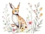 draw animal and botanical illustrations