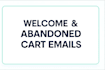 write persuasive sales emails and abandoned cart copy