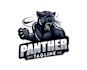 design high quality black panther logo
