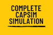 offer strategic guidance for capsim simulation rounds, write reports, and ppts