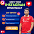 fast safe instagram organic growth strategy