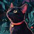 draw your beloved pet into a fun vector art cartoon