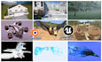 create 3d models , 3d animations , renders or video edit
