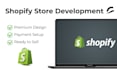 build a shopify store
