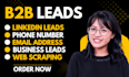 find email address, phone number, b2b leads and linkedin leads for any industry