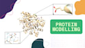 create custom protein homology models and visualizations
