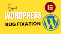 wordpress bug fixing and site error troubleshooting service
