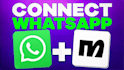 setup ai whatsapp chatbot whatapp automation twilo manychat