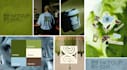 create a premium logo and  brand identity