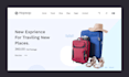 setup a travel accessories shopify dropshipping store for ecommerce success